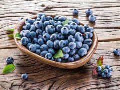 藍莓進口報關需要哪些手續